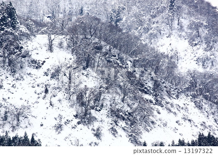 snow          13197322