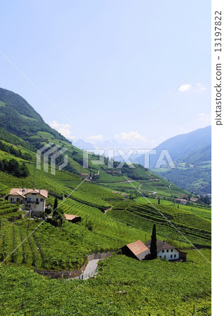 聖馬達萊娜聖馬達萊娜的小山 13197822