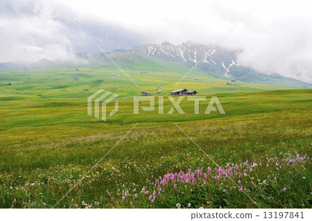 Alpe di Siusi alpe di siusi Zaiser alm seiser alm Alpe di Siusi alpe di siusi Zaiser alm seiser alm 13197841