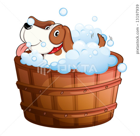 A cute puppy taking a bath A cute puppy taking a bath 13197939