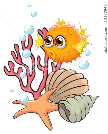 An orange puffer fish near the seashells An orange puffer fish near the seashells 13197940