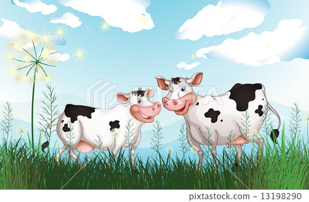 Two cows at the grassland 13198290