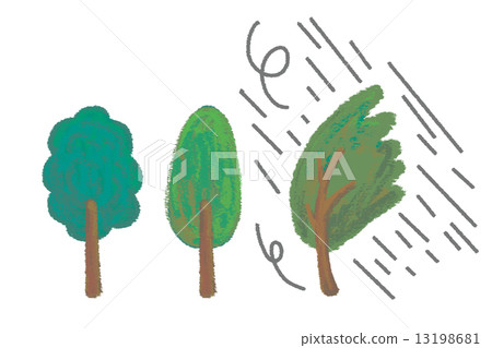 樹木 13198681