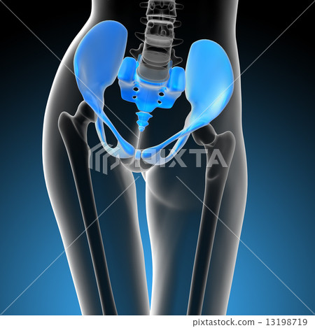 3d render medical illustration of the hip bone 13198719