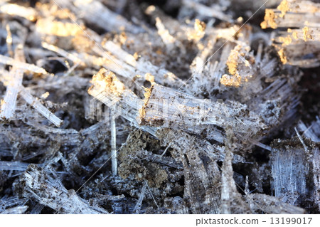 frost pillar 13199017
