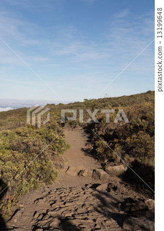 Trail along Haleakala, Maui 13199648