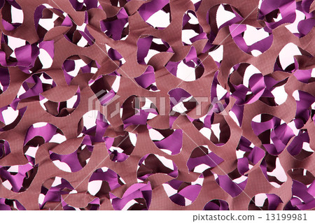 Camouflage net isolated 13199981