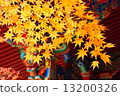 Autumn leaves 13200326