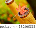 Autumn leaves of rain 13200333