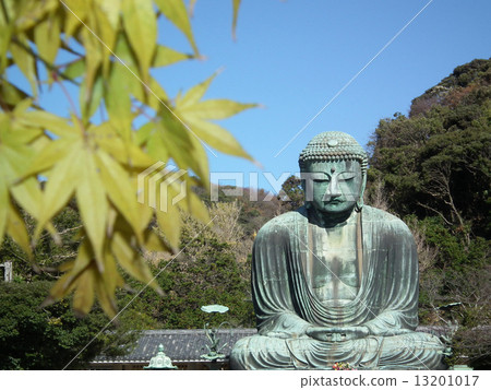 Kamakura Great Buddha Kamakura Great Buddha 13201017