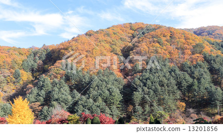 Autumn landscape Autumn landscape 13201856