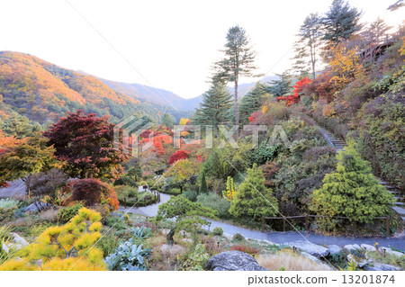 The Garden of Morning Calm 13201874