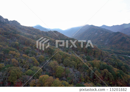 Seoraksan National Park 13201882
