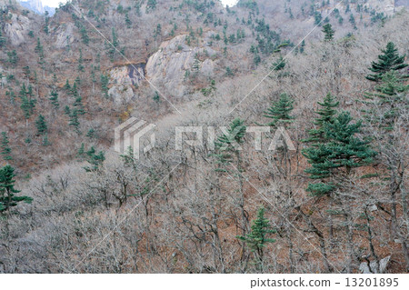 Seoraksan National Park Seoraksan National Park 13201895