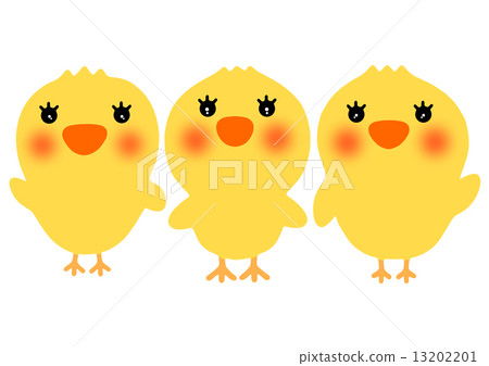 Chick	 13202201