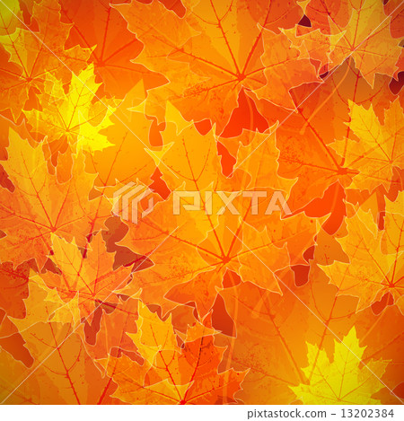 floral autumn (fall) background with maple leaves  13202384