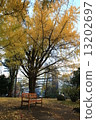 秋天的特殊座位 13202697