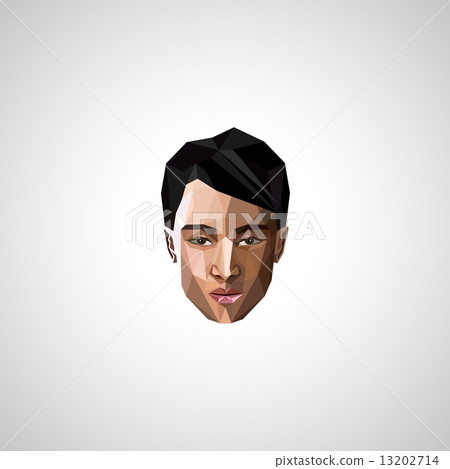 illustration with an asian guy face in polygonal style illustration with an asian guy face in polygonal style 13202714