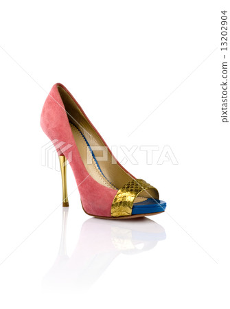 Fashionable women shoe 13202904