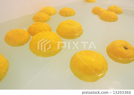 柚子 13203368