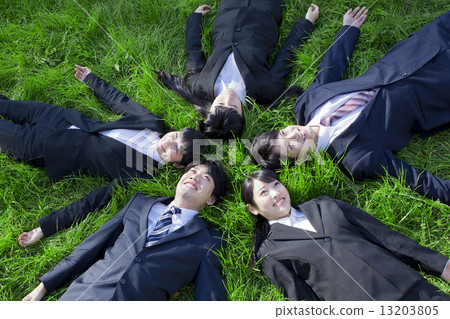 A new member who lies on the lawn A new member who lies on the lawn 13203805