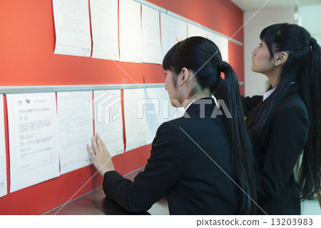 Students browsing job information 13203983