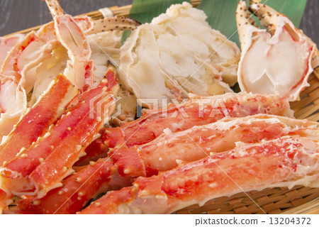 King crab 13204372