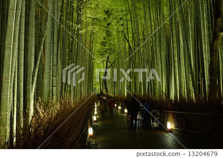 Arashiyama Flower Light Road 2014 13204679