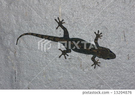 Japanese gecko 13204876