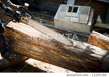 Saw blade for cutting timber 13205180