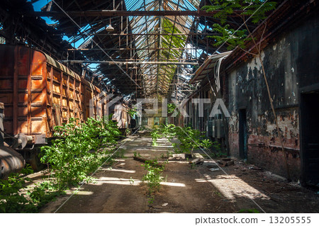 Old trains at abandoned train depot Old trains at abandoned train depot 13205555