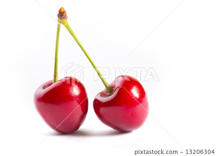cherry cherry 13206304
