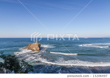 White rabbit coast 13206497