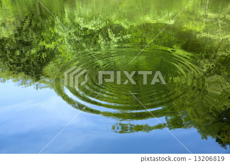 The surface of the fresh green 13206819