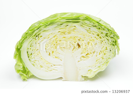 白菜切成兩半 13206937