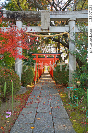 Walking in Tatebayashi / Ohiki Inari shrine Walking in Tatebayashi / Ohiki Inari shrine 13207122