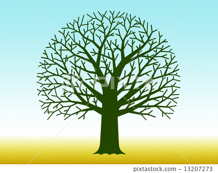 Winter Tree 13207273