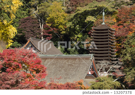 Nara Shizuyama Shrine in autumn 13207378