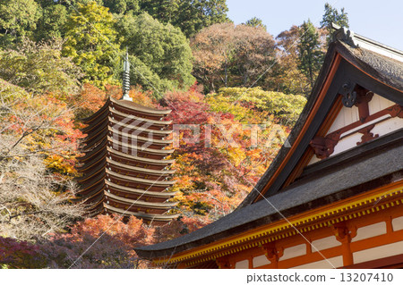 Nara Shizuyama Shrine in autumn 13207410