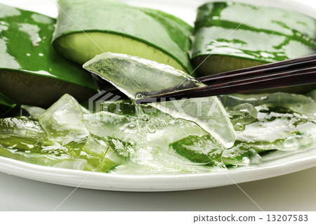 食用蘆薈 13207583
