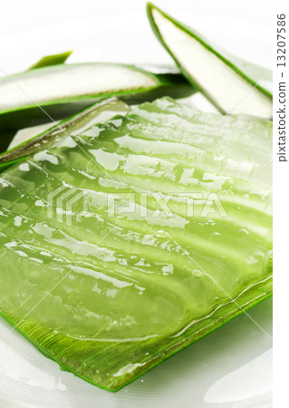 食用蘆薈 食用蘆薈 13207586