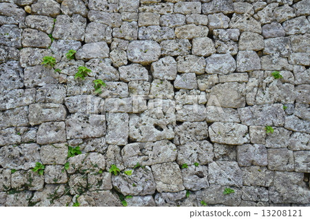 Nakagusuku城堡遺址的世界遺產“石垣”（沖繩縣中上郡的Nakagakujo村·Nakagusuku村） 13208121