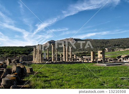 Baelo Clauida Roman Ruins. Tarifa, Cadiz, Spain Baelo Clauida Roman Ruins. Tarifa, Cadiz, Spain 13210308