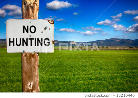 Warning No Hunting 13210446