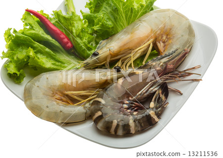 King and waterleg shrimps King and waterleg shrimps 13211536
