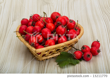 Hawthorn 13211770