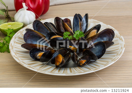 Mussels 13211924