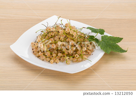 White currant White currant 13212050