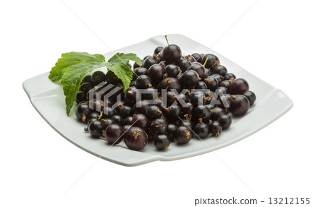 Black currant 13212155