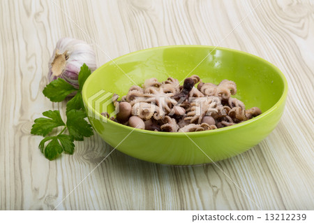 Boiled octopus 13212239